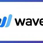 Wave Accounting Review