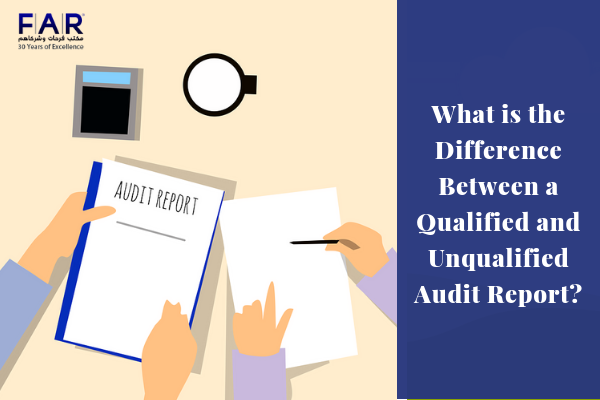 audit report definition