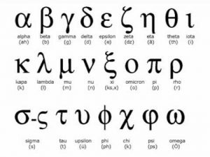 assign verb